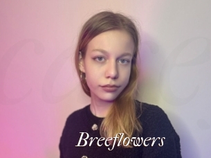 Breeflowers