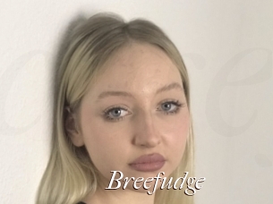 Breefudge