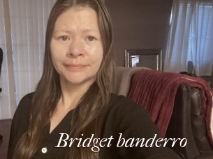 Bridget_banderro