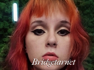 Bridgetarnet