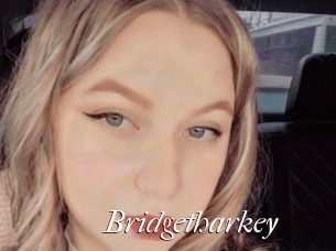 Bridgetharkey