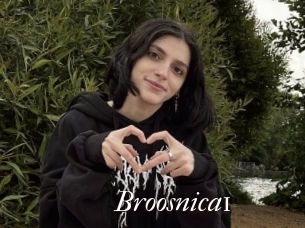Broosnica1