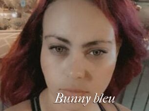Bunny_bleu