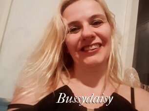 Bussydaisy