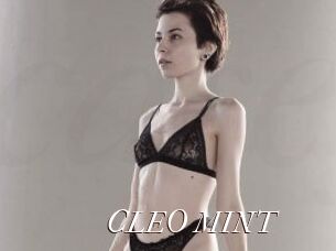 CLEO_MINT