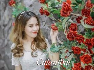 Calanthas Cam Sexy