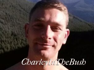 CharleyInTheBush