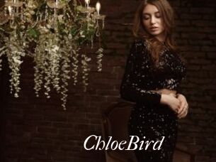 ChloeBird