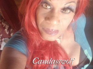 candasswolf Cam Sexy