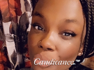 Candicanee