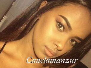 Canelamanzur