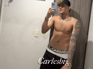 carlesbig Cam Sexy