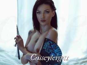 Casseyleights