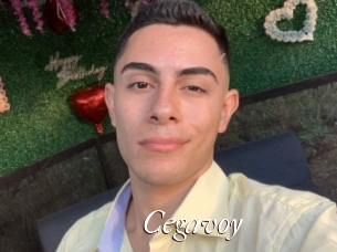 Cegavoy