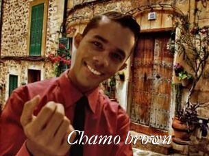 Chamo_brown