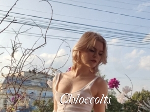 Chloecolts
