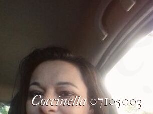 Coccinella-07105003