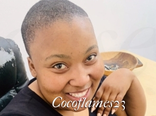 Cocoflames23