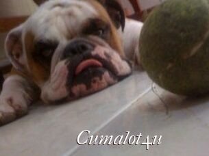 Cumalot4u