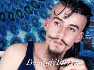 DominicTerrier