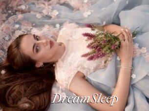 DreamSleep