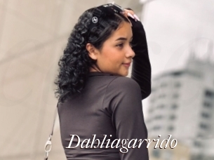 Dahliagarrido