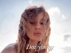 Daisyburge