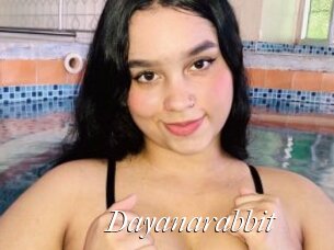 Dayanarabbit