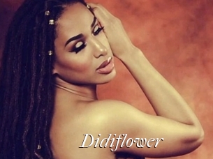 Didiflower