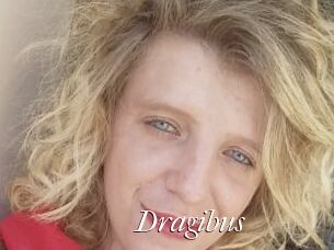 Dragibus