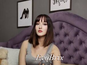 EvaBrix