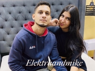 Elektraandmike