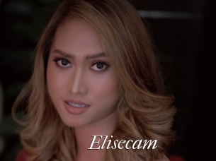 Elisecam