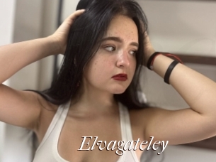 Elvagateley