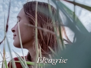 Elvagrise