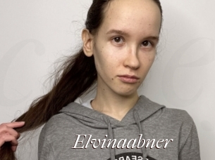 Elvinaabner