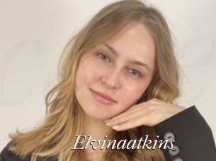 Elvinaatkins