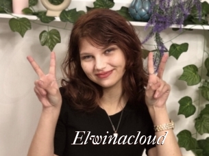 Elwinacloud