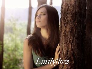 Emilyflow