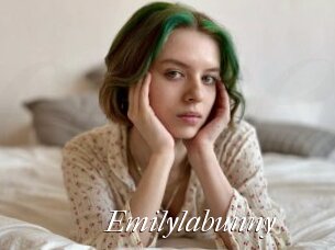 Emilylabunny