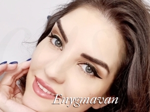 Enygmavan