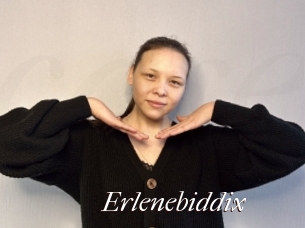 Erlenebiddix