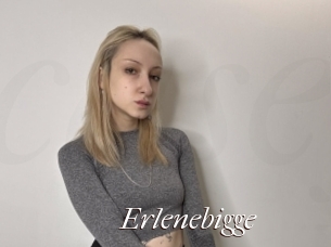 Erlenebigge