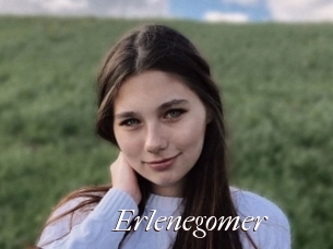 Erlenegomer
