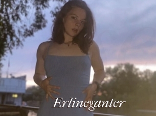 Erlineganter