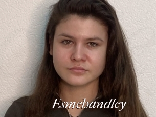 Esmehandley