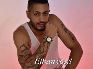 ethanvogel Cam Sexy