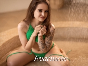 evacuocoo Cam Sexy