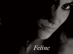 Feline