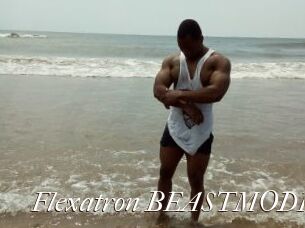 Flexatron_BEASTMODE